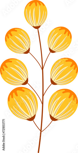 plant illustration, plant branch with round yellow leaves entering spring
