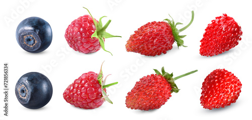 Wild berries isolated on white, collection. Raspberries, bilberries, strawberries