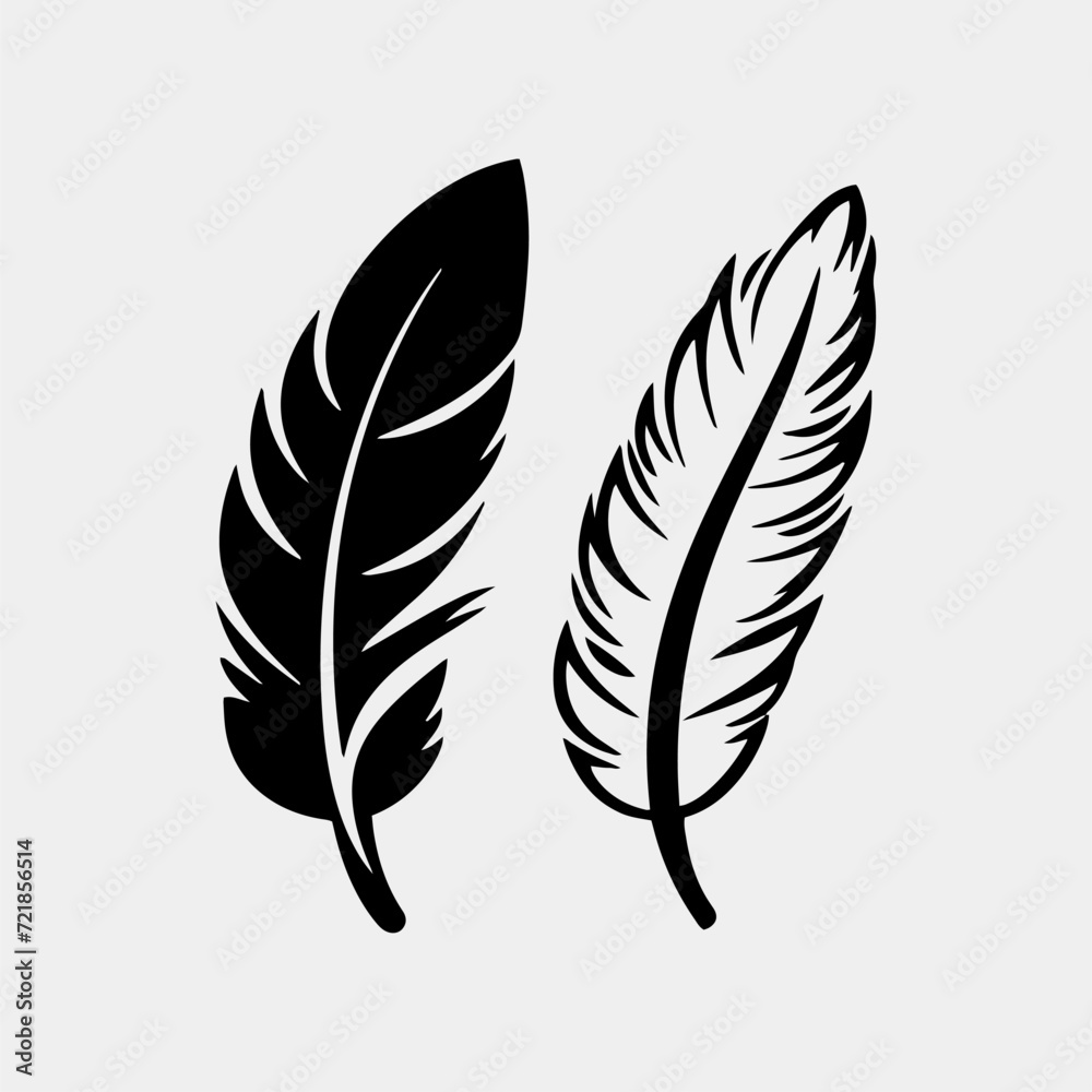 Fototapeta premium two black and white feathers on a white background
