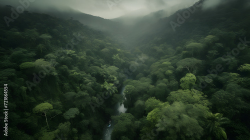 Mystical Rainforest Canopy: Veiled in Mist and Sunbeams AI-Generative © 경무 박