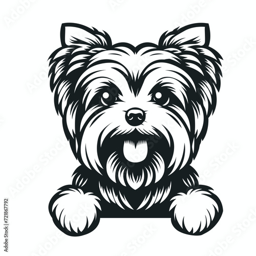 Yorkshire Terrier dog peeking silhouette illustration vector