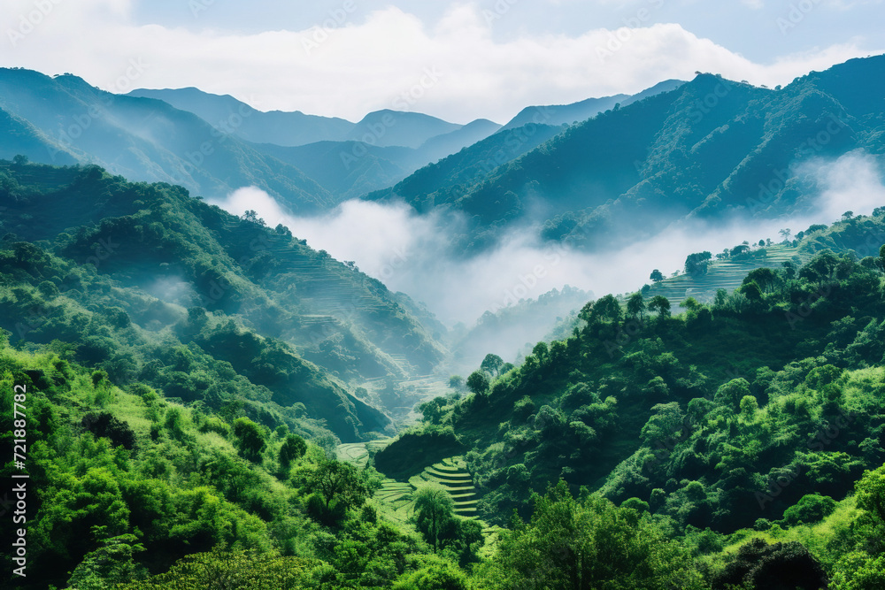 mountains covered in clouds.