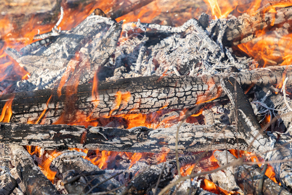 Charred and burning logs inside intense fire with orange and yellow flames in fire pit. Charred and burning logs inside intense fire with orange and yellow flames in fire pit.