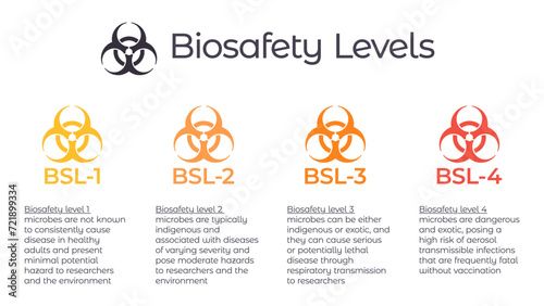 Biosafety levels BSL vector illustration infographic or laboratory safety