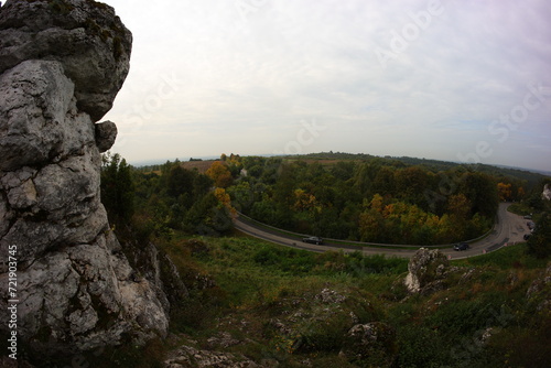 Fototapeta Naklejka Na Ścianę i Meble -  Limestone rock, kromołowiec, Sielsia, Poland