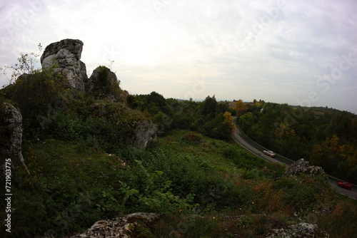 Fototapeta Naklejka Na Ścianę i Meble -  Limestone rock, kromołowiec, Sielsia, Poland