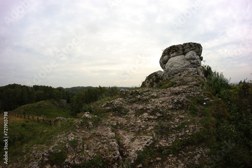 Fototapeta Naklejka Na Ścianę i Meble -  Limestone rock, kromołowiec, Sielsia, Poland