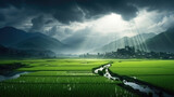 background Green rice fields in Thailand and snow falling, beautiful light