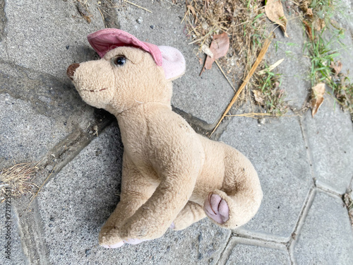 Wasted puppy dolls that fall on the road. Abandoned children toys on the street.
