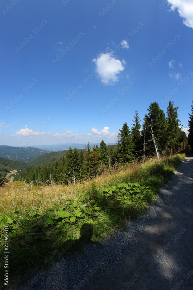 Gravel cyclin in czech republic mountains