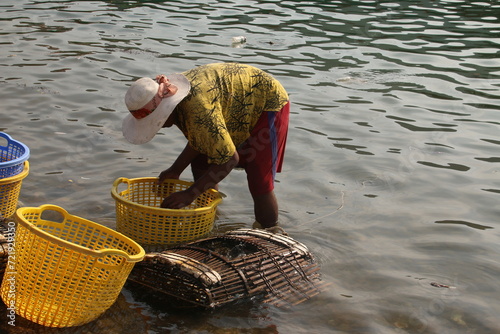 Fisherwomen selecting Blue Crabs in Kep (Cambodia) photo