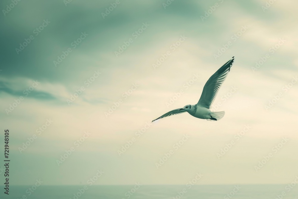 A majestic seabird gracefully soars through the cloudy sky, its outstretched wings and sharp beak reflecting the beauty of nature's aquatic creatures