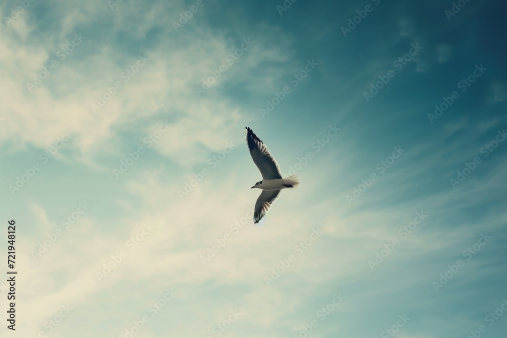 A majestic sea gull soars through the cloudy blue sky, its wings outstretched as it embarks on its journey of bird migration A majestic sea gull soars through the cloudy blue sky, its wings outstretched as it embarks on its journey of bird migration