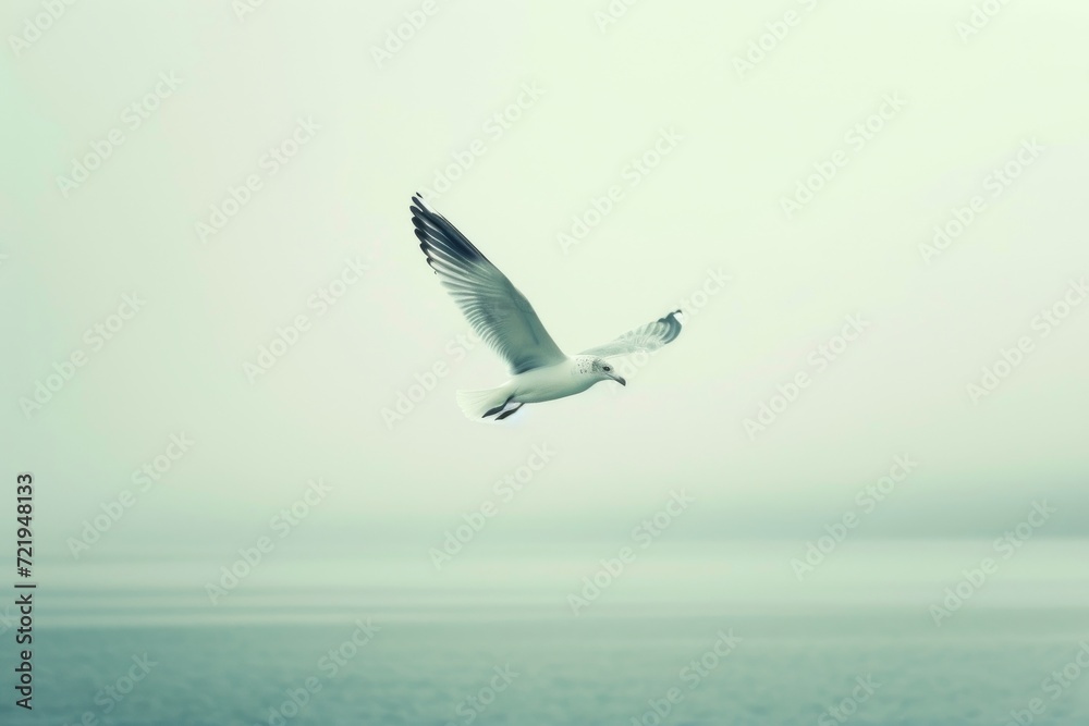 A graceful gull soars above the ocean's endless expanse, its wings gliding effortlessly over the shimmering water below