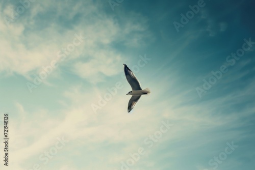 A majestic sea gull soars through the cloudy blue sky  its wings outstretched as it embarks on its journey of bird migration