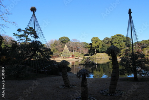 Daisensui Pond and Yukitsuri (snow hanging) in Rikugien Garden, Tokyo, Japan