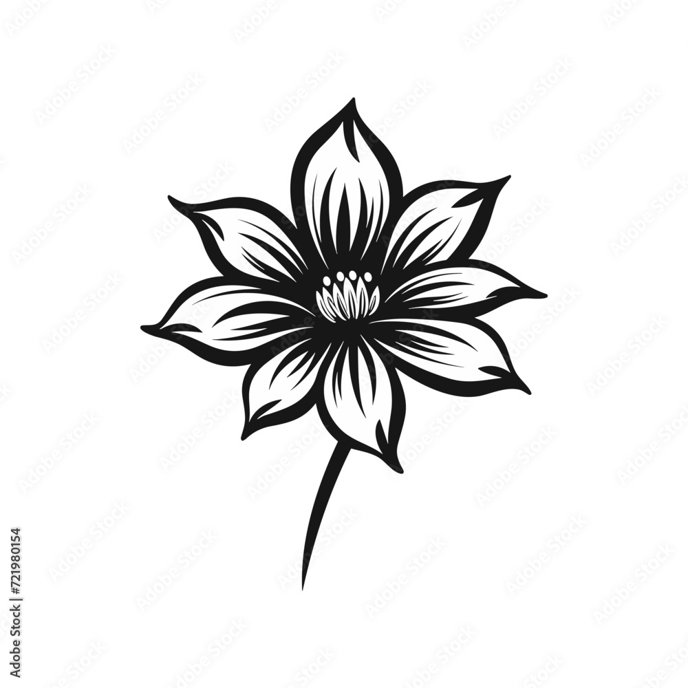 Beautiful minimalist flower illustration art.