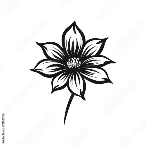 Beautiful minimalist flower illustration art.