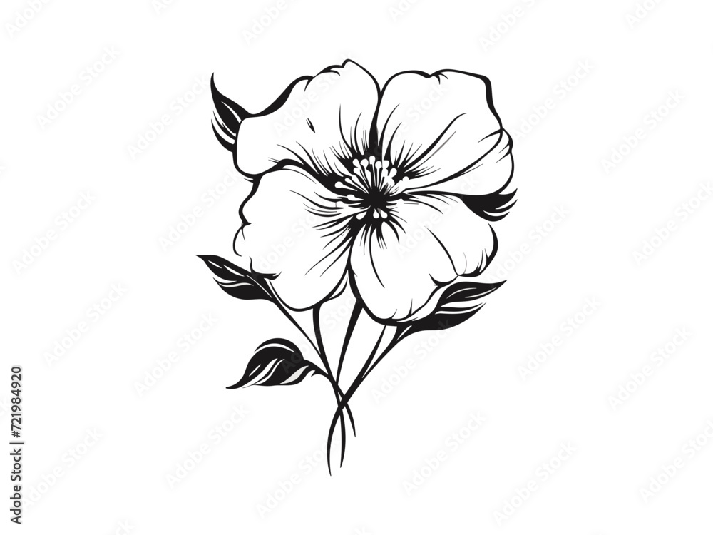 Obraz premium Beautiful vintage minimalist flower illustration art.