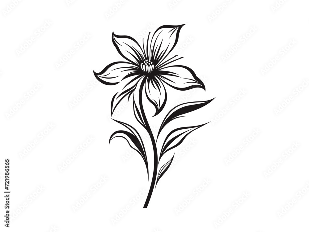 Beautiful minimalist flower illustration art. Beautiful minimalist flower illustration art.