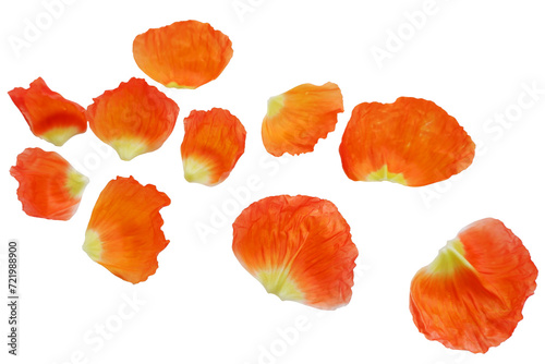 vivid orange color poppy flower petals collection. Flower petals collection for spring and floral design.  photo