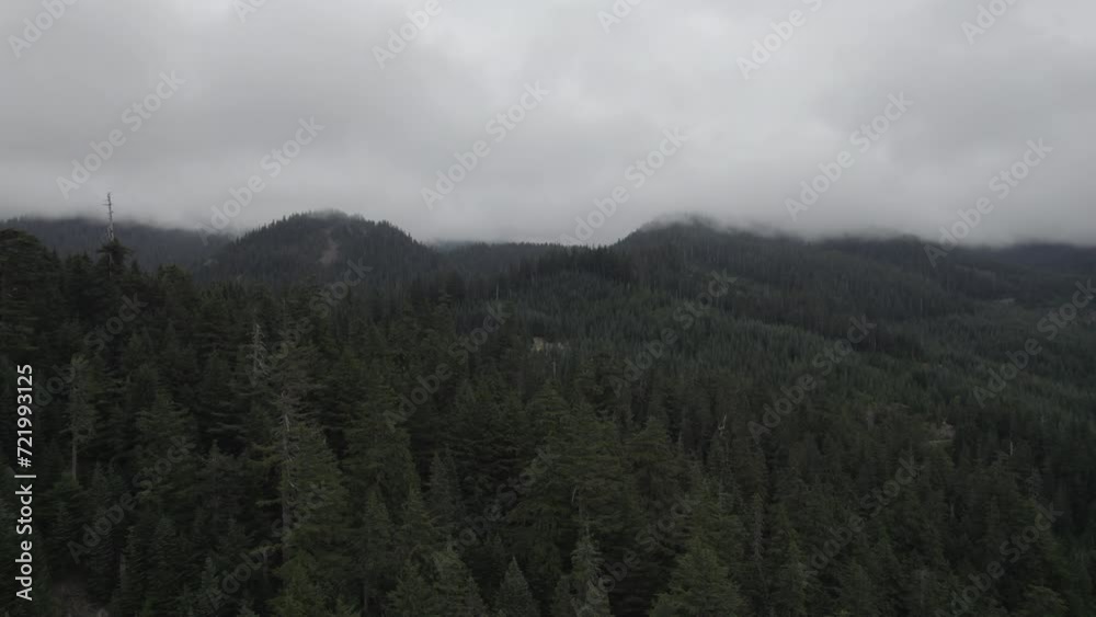 Ungraded 4k wide-angle push-in aerial drone footage flying above mountains and forest on a cloudy morning at Gifford Pinchot National Forest in Washington State. Ungraded 4k wide-angle push-in aerial drone footage flying above mountains and forest on a cloudy morning at Gifford Pinchot National Forest in Washington State.