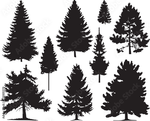 Set Trees. Hand drawn vector illustration 