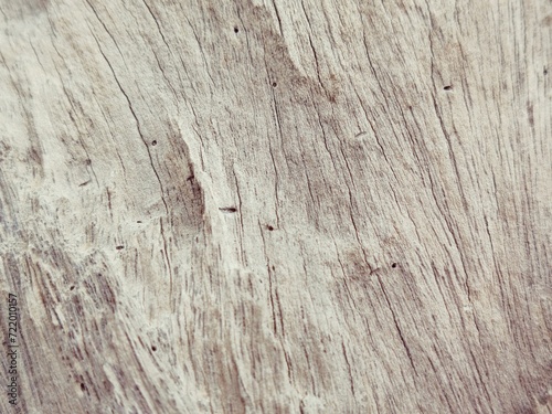 old wood texture, Wood texture background. Close up of wood texture with natural pattern.
