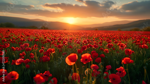 A breathtaking view of a lush red poppy field illuminated by the warm glow of a setting sun, against a backdrop of serene mountains