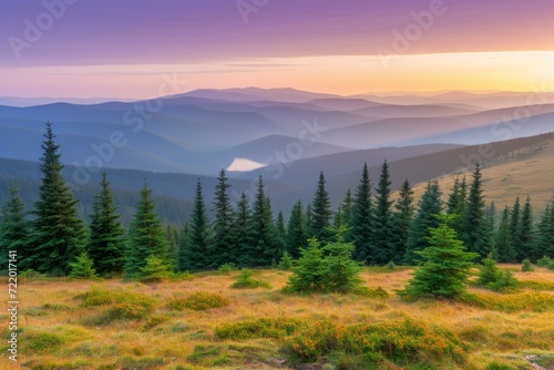Mountain landscape with sunrise over the hills and coniferous trees in the foreground