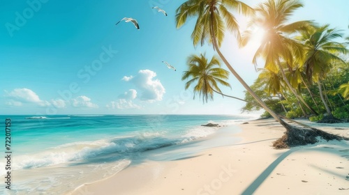 Beach with palm trees and turquoise water