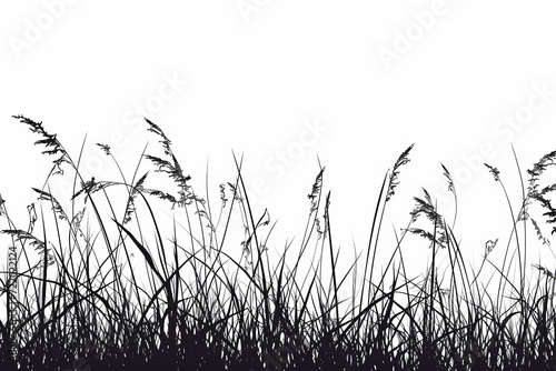 Panoramic seamless grass silhouette for design isolated on white background. 