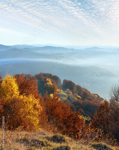 Morning fog in autumn Carpathian. © wildman