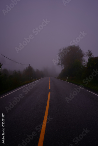 road in a rainy day in norway forest © Victoriia Yakovenko