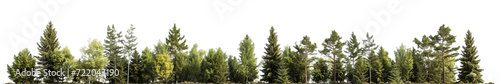 Forest, transparent background, isolated image, generative AI