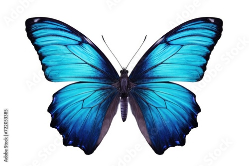 Solitary Blue Butterfly: A Study in Natural Elegance and Delicate Grace - Generative AI