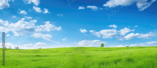 Endless Green Fields  A Serene and Vibrant Landscape Under the Blue Sky - Generative AI