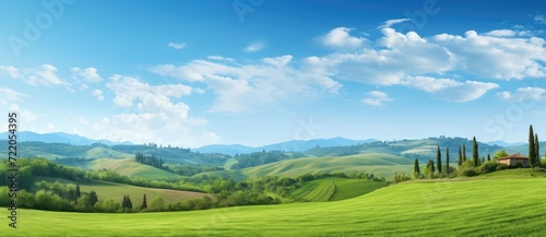 Endless Green Fields: A Serene and Vibrant Landscape Under the Blue Sky - Generative AI © Gelpi