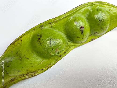 Parkia speciosa, or the bitter bean, isolated on white background photo