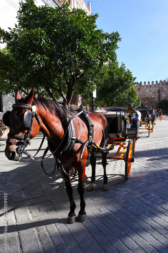 Scenes of Sevilla, Spain