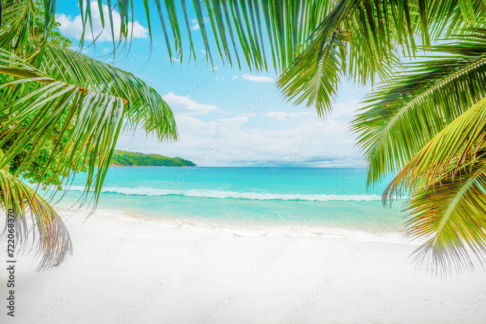 Palm trees and white sand