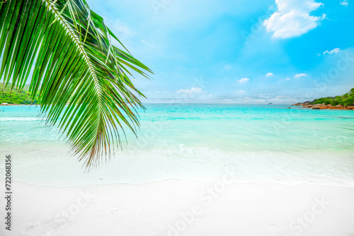 Palm leaves and turquoise water