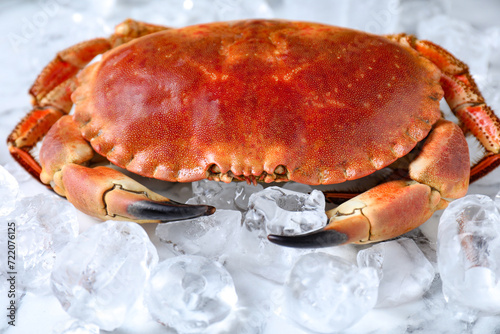 Delicious boiled crab and ice on white marble table, closeup