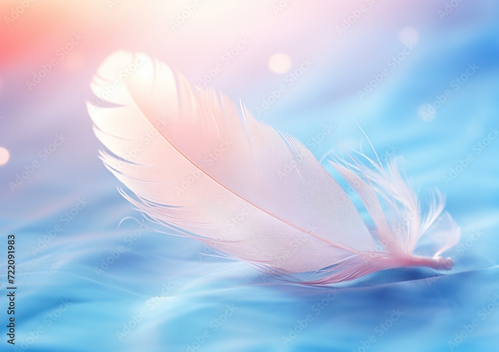 Naklejka premium pretty feather on a pastel colored background.