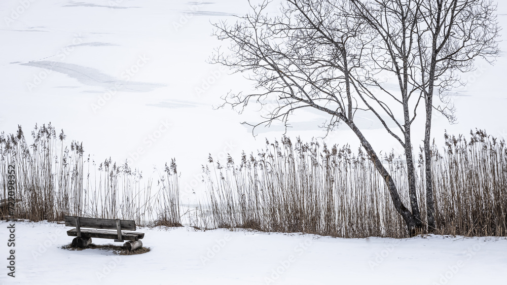 a bench is on the snow with some tall grasses behind it