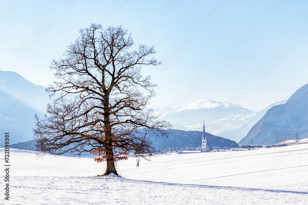 Solitary tree amidst snowy fields, Tyrol, Austria Solitary tree amidst snowy fields, Tyrol, Austria