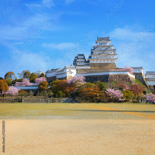 Scenic full bloom cherry blossom at Himeji castle in Hyogo, Japan photo