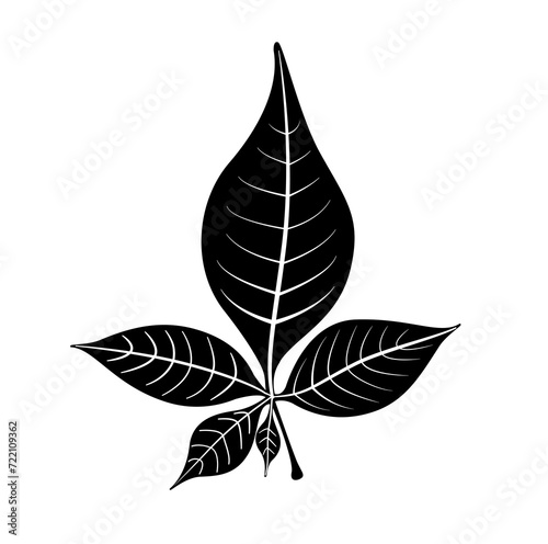 Belpatra five leaf black in white  photo