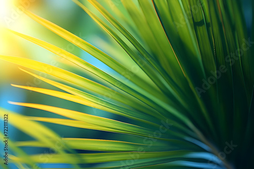 Palm tree leaves in the sunlight - Ai Generated