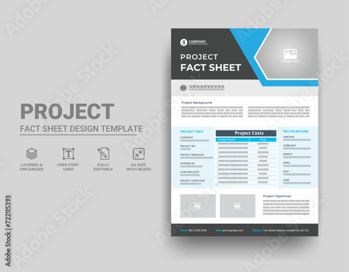 Project Fact Sheet template design photo